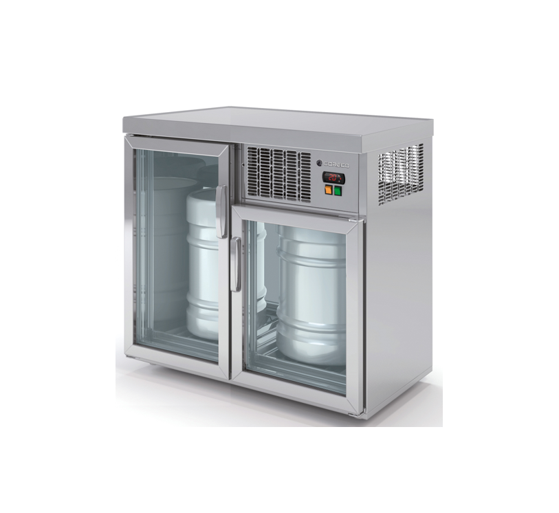 EBV-100